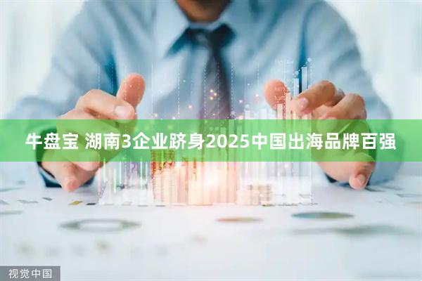 牛盘宝 湖南3企业跻身2025中国出海品牌百强